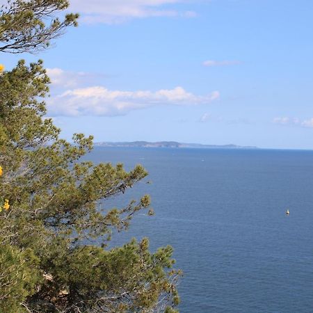 Studio L'Echappee Mandreenne Le Calme Entre Mer Et Foret Сен-Мандрие-сюр-Мер Экстерьер фото