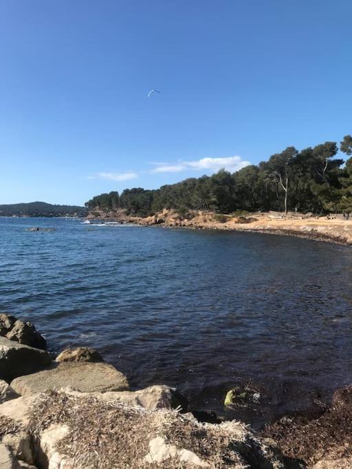 Studio L'Echappee Mandreenne Le Calme Entre Mer Et Foret Сен-Мандрие-сюр-Мер Экстерьер фото